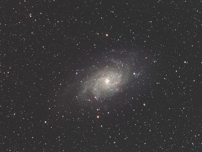 M33-L-lrgb.jpg